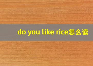 do you like rice怎么读